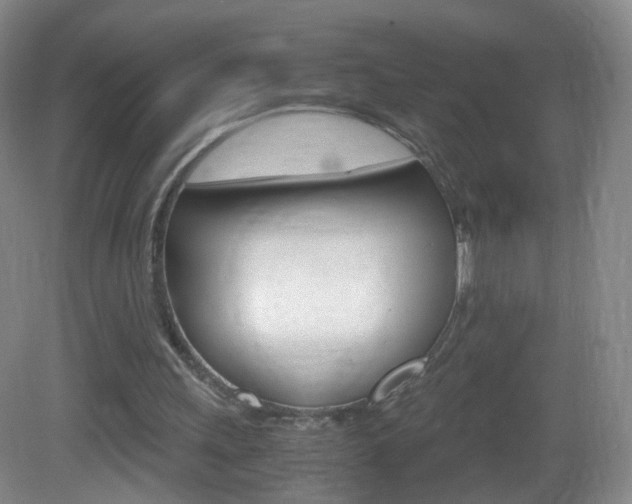 X0000083060243200702021043