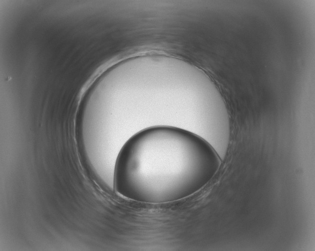 X0000083060244200702021043