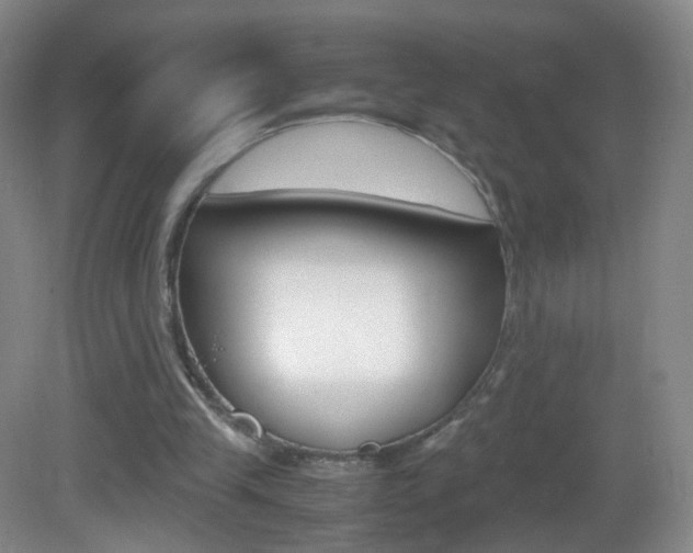 X0000083060245200702021043
