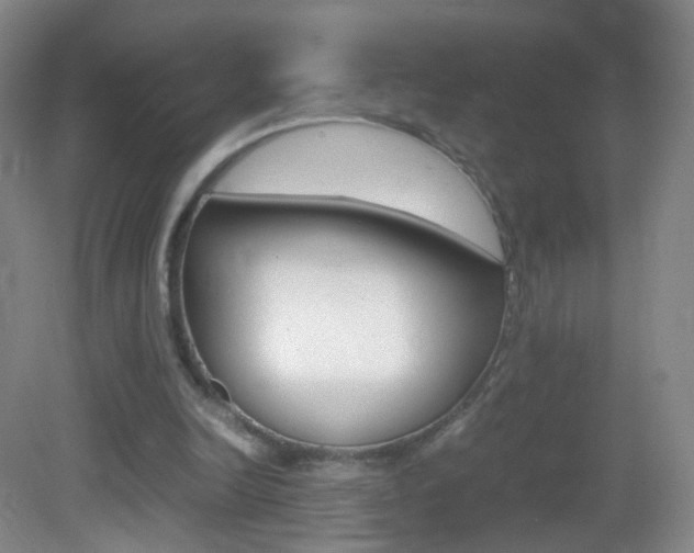 X0000083060246200702021043