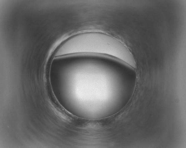 X0000083060248200702021043