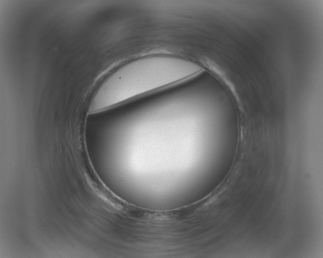 X0000083060249200702021043