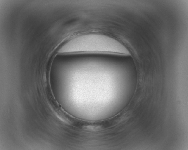 X0000083060251200702021043
