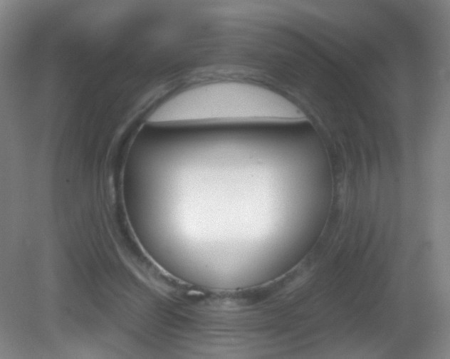 X0000083060254200702021043