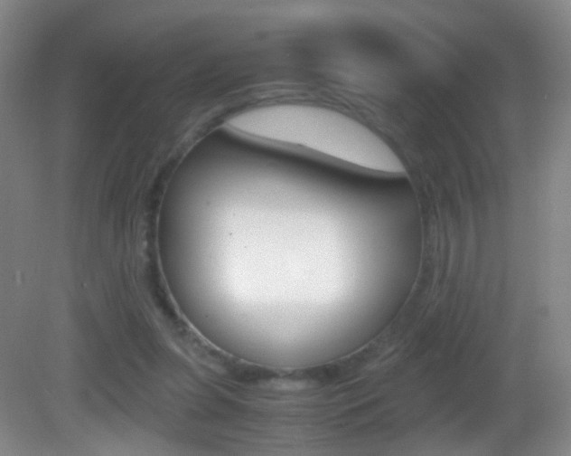 X0000083060255200702021043