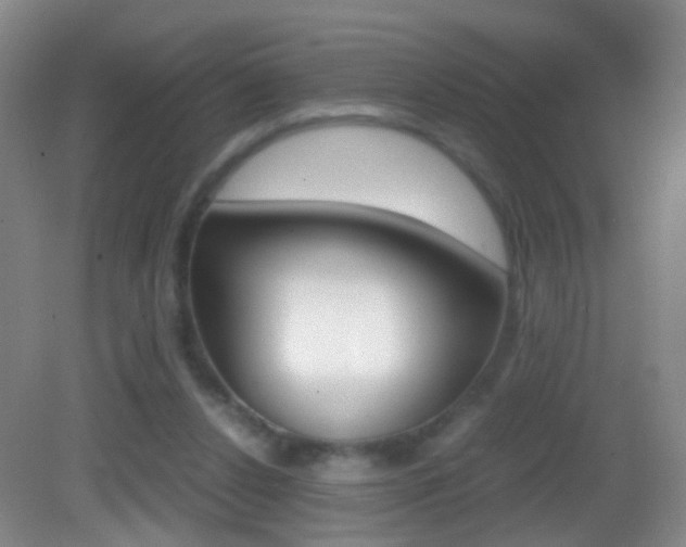 X0000083060256200702021043