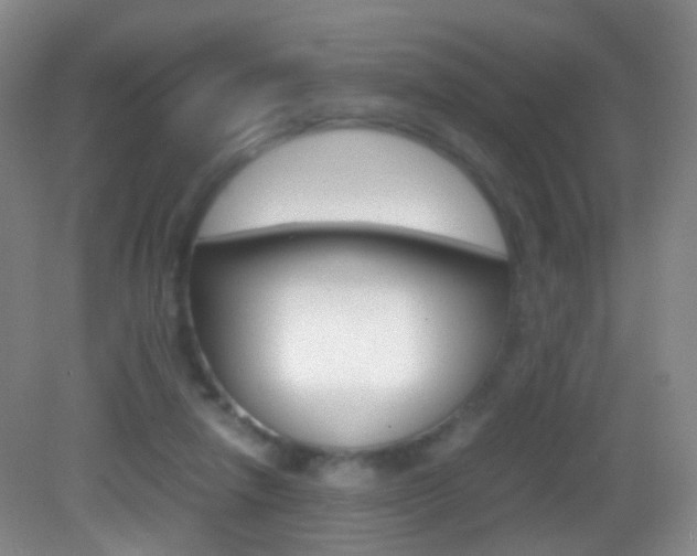 X0000083060258200702021043