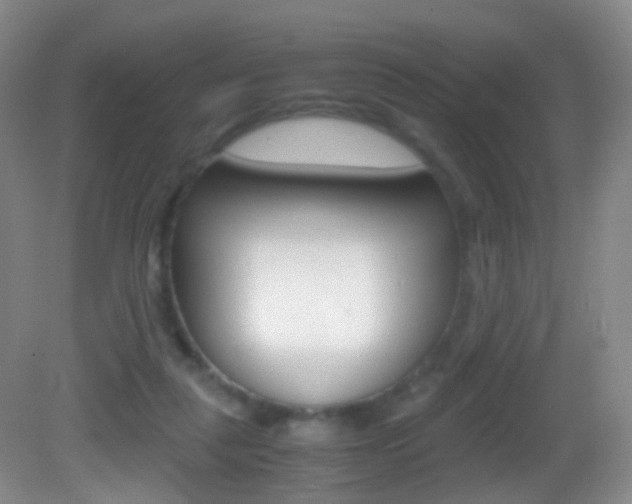 X0000083060259200702021043
