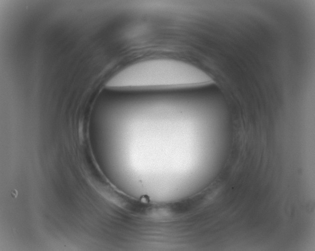 X0000083060262200702021043