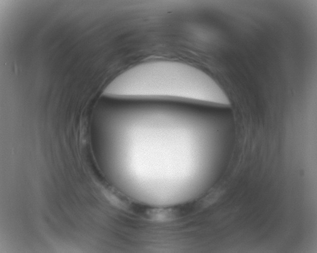 X0000083060273200702021044