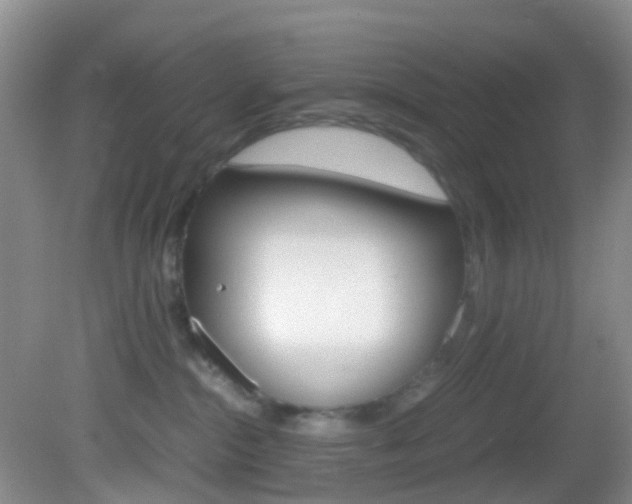 X0000083060284200702021044