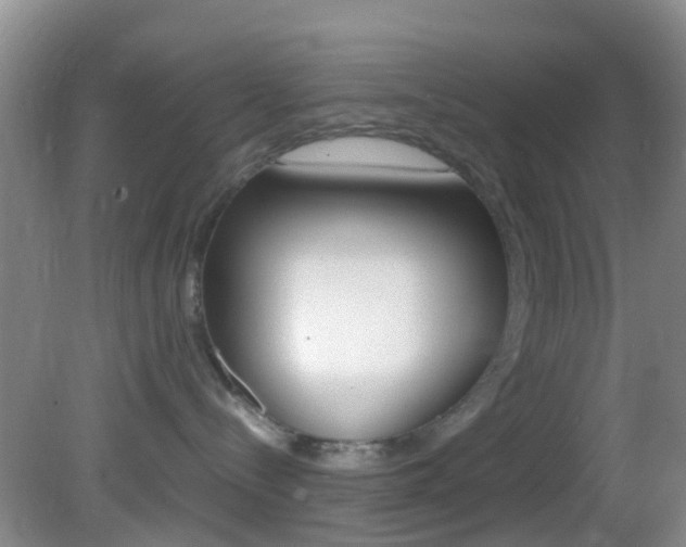 X0000083060288200702021044