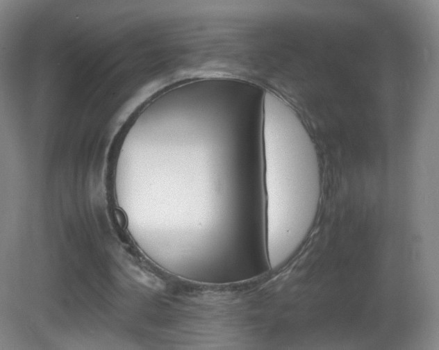 X0000083060292200702021043