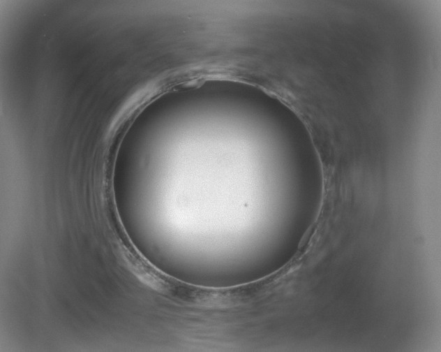 X0000083060293200702021043