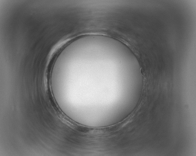 X0000083060294200702021043