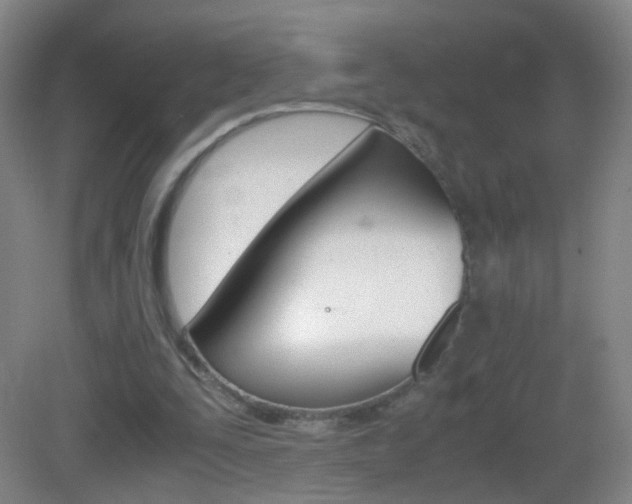 X0000083060295200702021043