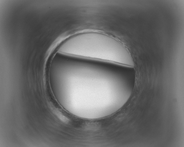 X0000083060296200702021043