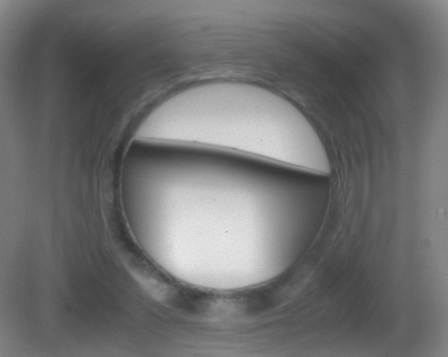 X0000083060303200702021043