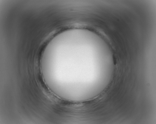 X0000083060306200702021043