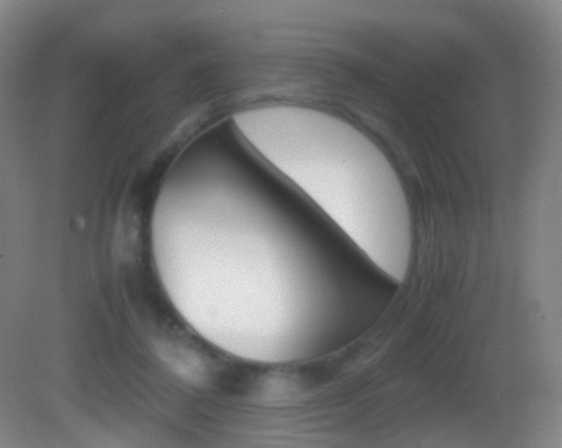X0000083060308200702021043