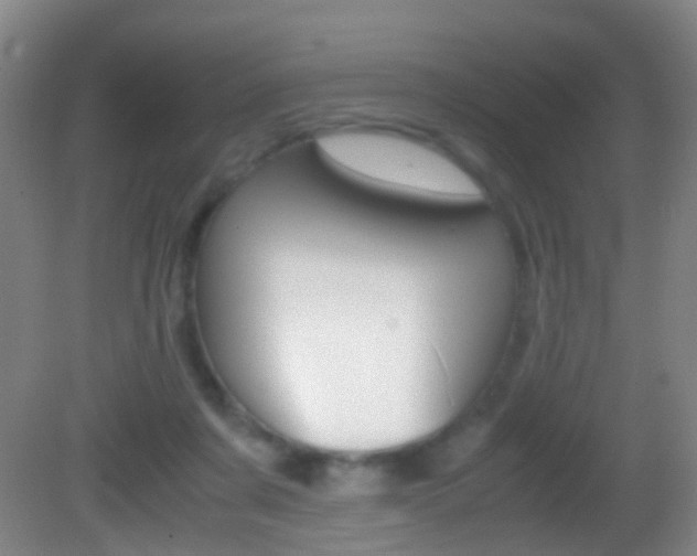 X0000083060311200702021043