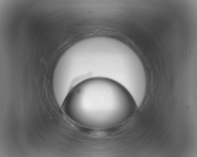 X0000083060313200702021043