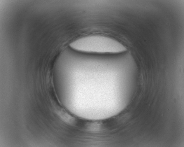 X0000083060318200702021042