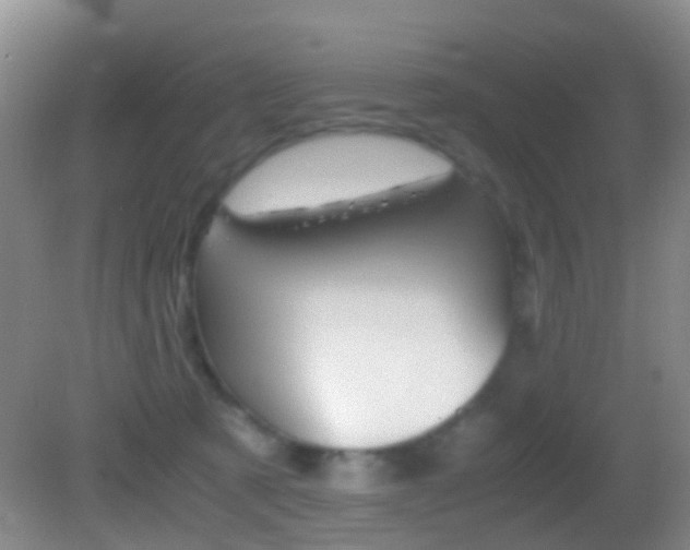 X0000083060321200702021042
