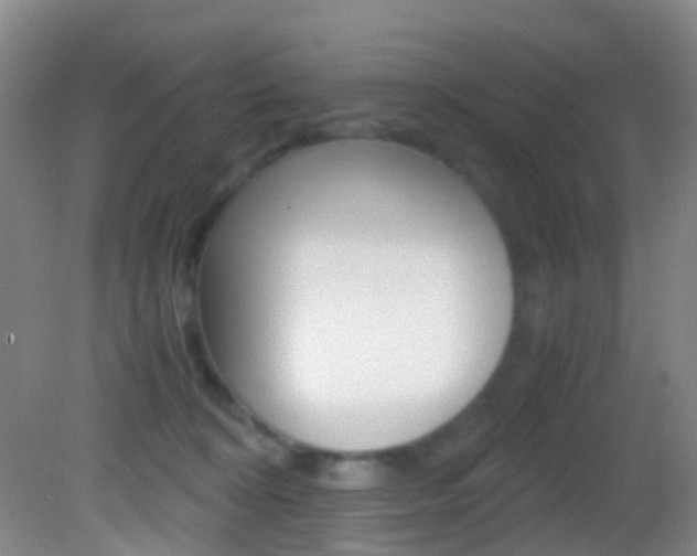 X0000083060324200702021042