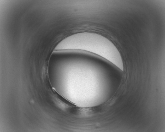 X0000083060333200702021042