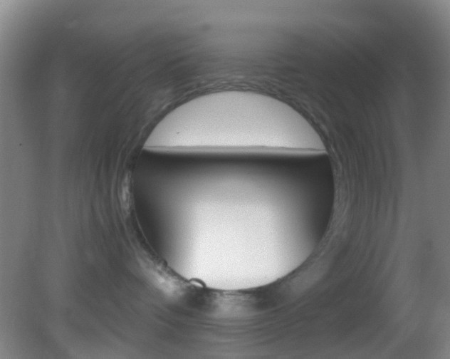 X0000083060336200702021042