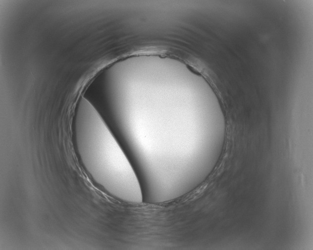 X0000083060337200702021041