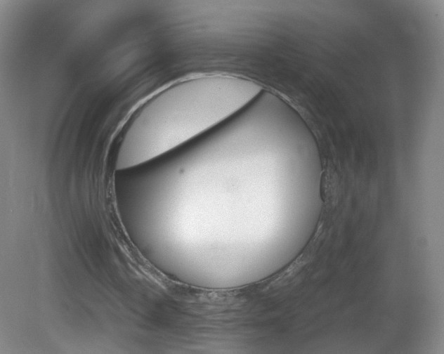X0000083060338200702021041