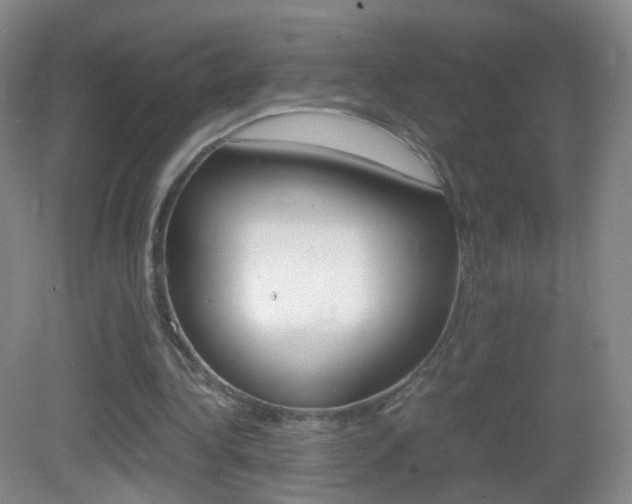 X0000083060340200702021041