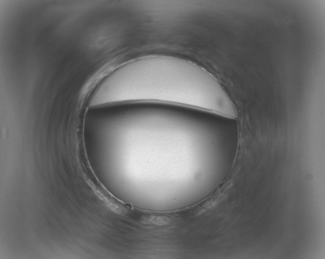 X0000083060341200702021041
