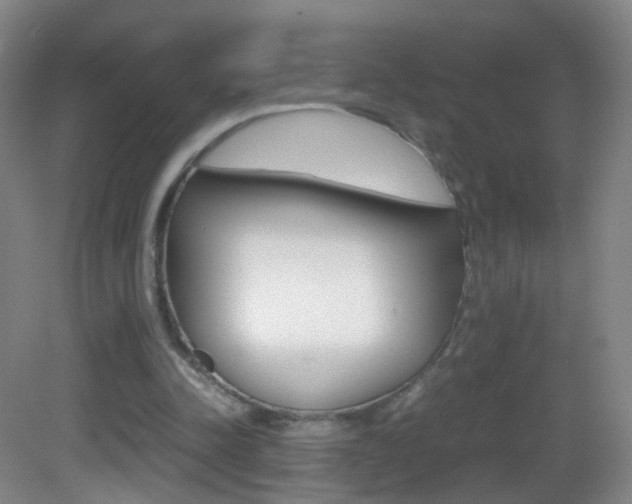 X0000083060342200702021041