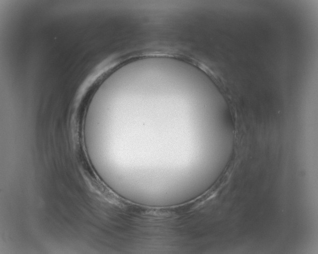 X0000083060343200702021041