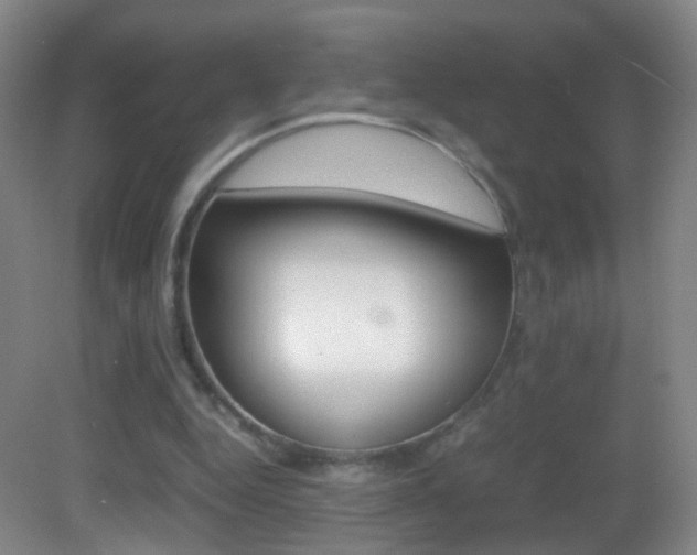 X0000083060344200702021041