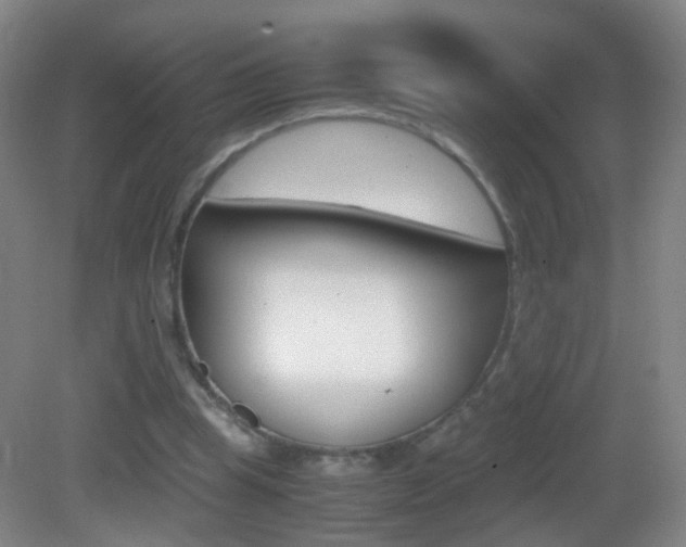 X0000083060345200702021042