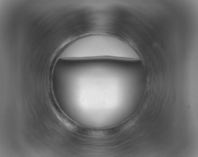 X0000083060349200702021042