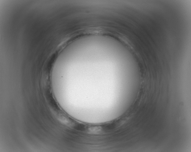 X0000083060355200702021042
