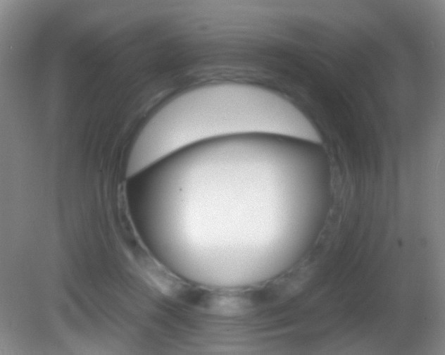 X0000083060360200702021042