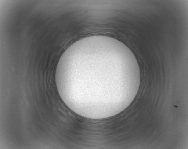X0000083060384200702021042