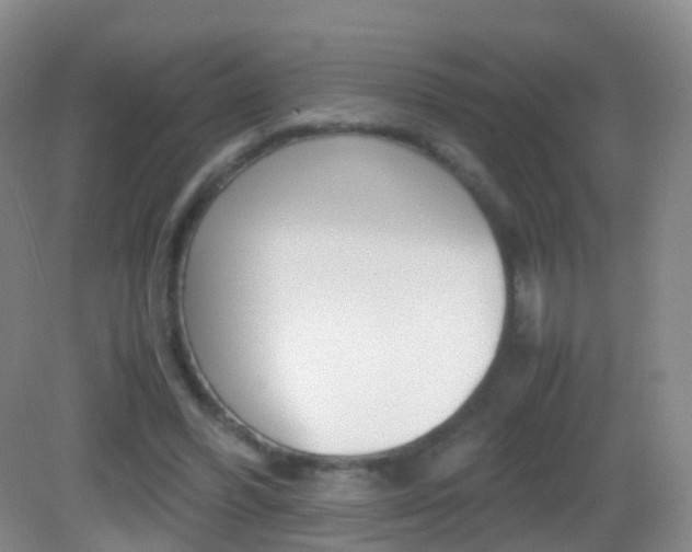 X0000083060396200702021041