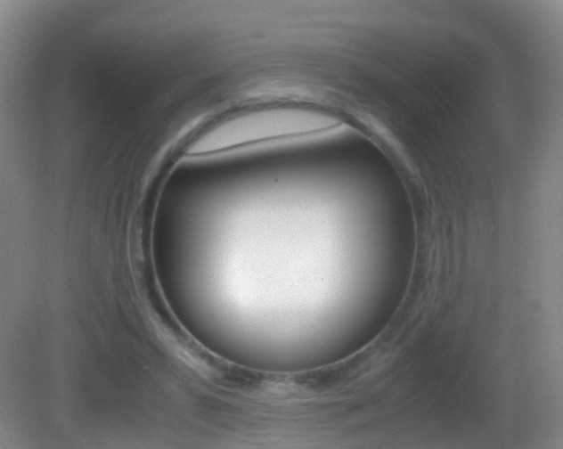 X0000083060399200702021041