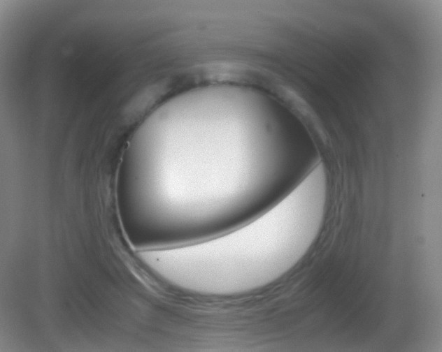 X0000083060401200702021041