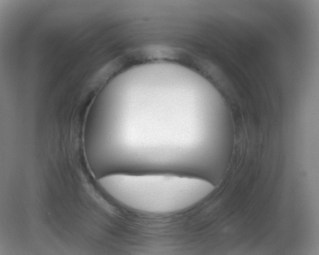 X0000083060402200702021041