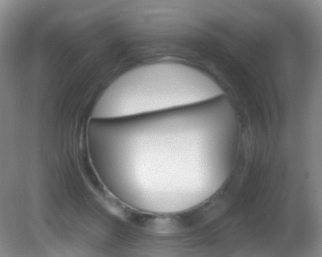 X0000083060406200702021041