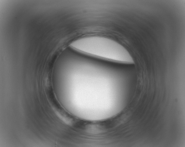 X0000083060408200702021041