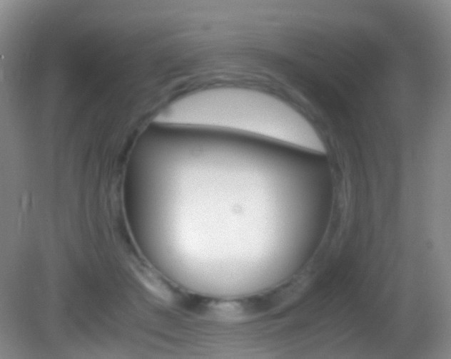 X0000083060409200702021041